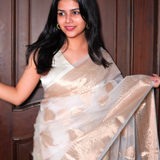 Off white tissue saree with brocade blouse